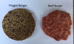 Veggie Burgers, Beef Burgers, Sustainable Food Production