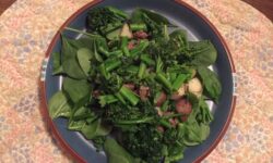 Brain Foods