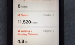 How Many Steps Per Day?