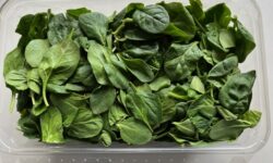 Prolonged Caloric Restriction May Slow Aging