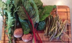 Food Is Medicine Update