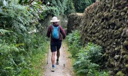 Walk Faster for Better Health