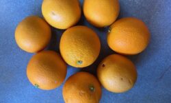 Eating Foods with High Satiety Might Limit Snacking and Reduce Caloric Intake
