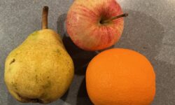 Dietary Diversity