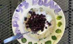 Meal Timing Updated