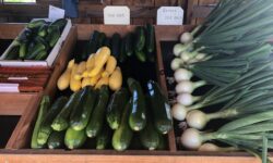 Food Compass – A Nutrient Profiling System
